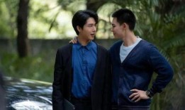 电视剧替身在线观看,幕后真相大揭秘