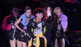 安娜阿姨爆料视频,惊人内幕曝光